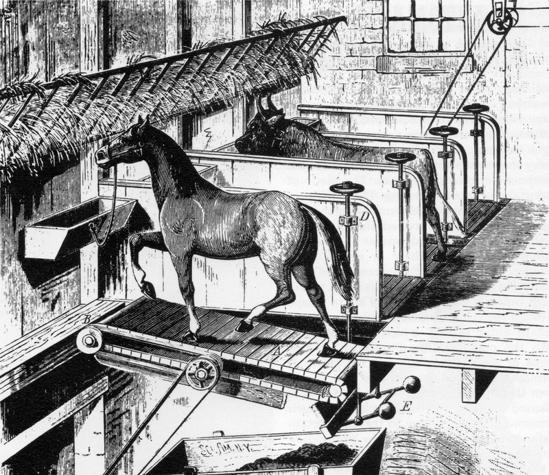 Illustration for article titled Russian Man Uses Horse Treadmill to Power Log Splitter